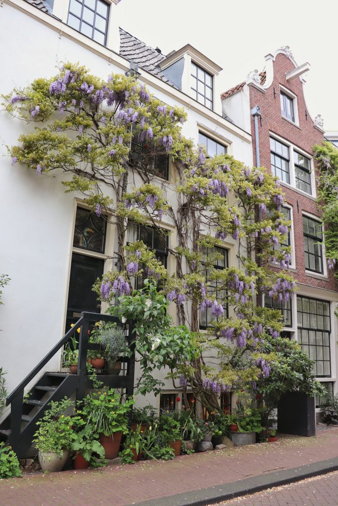 Geveltuin