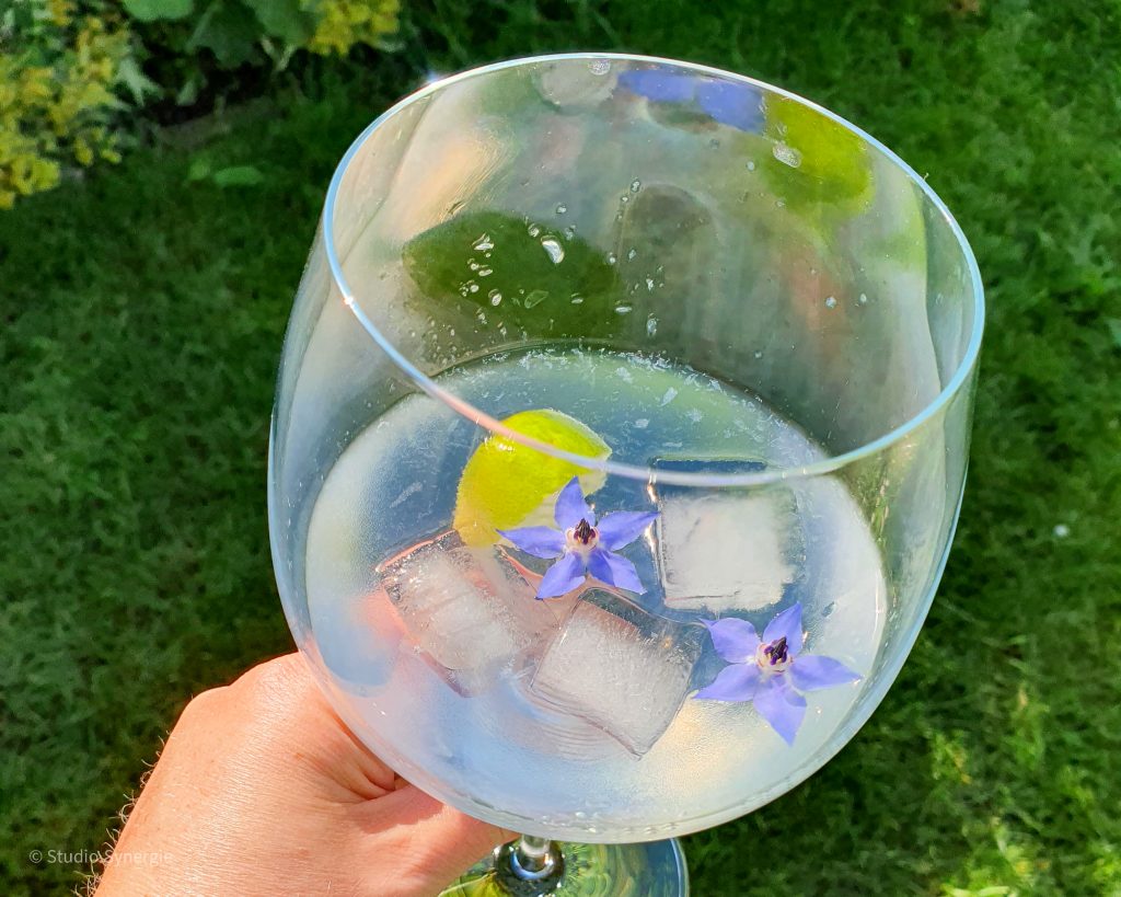 Gin tonic met komkommerkruid